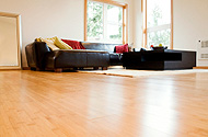 wood floor cleaning and refinishing